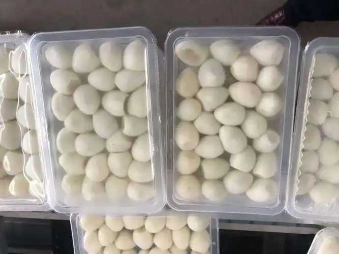 整線解決方案，優(yōu)化生產(chǎn)流程：鵪鶉蛋包裝神器來(lái)襲