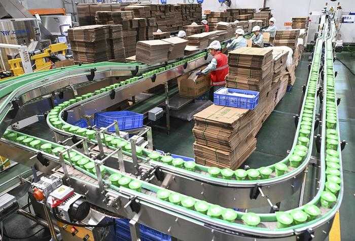 工廠高效生產(chǎn)的秘密:一文掌握包裝設(shè)備的正確使用與維護(hù)技巧