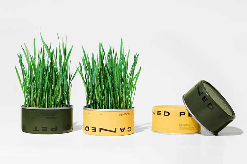 智造綠色活力，賦能高效未來——呂工機械全自動杯裝貓草生產(chǎn)線